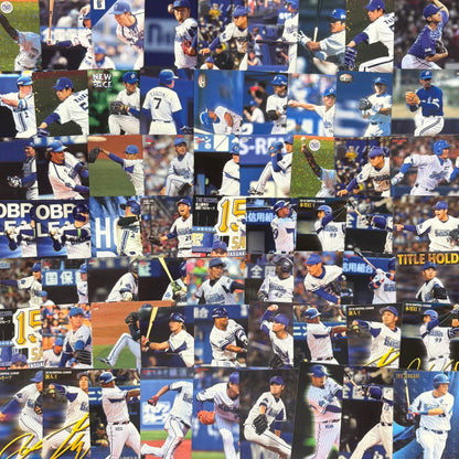 プロ野球チップス　横浜DeNAベイスターズのみ　380枚まとめ売り